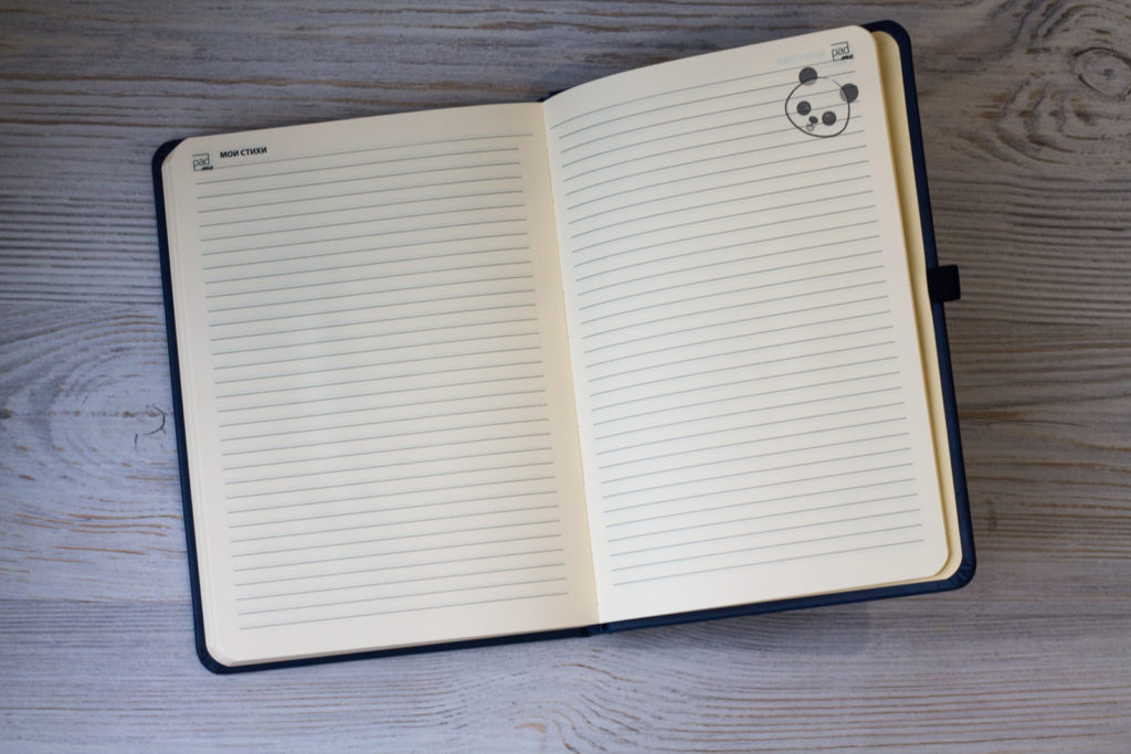 Синий ежедневник с пандами, планингами, идеями и стихами
